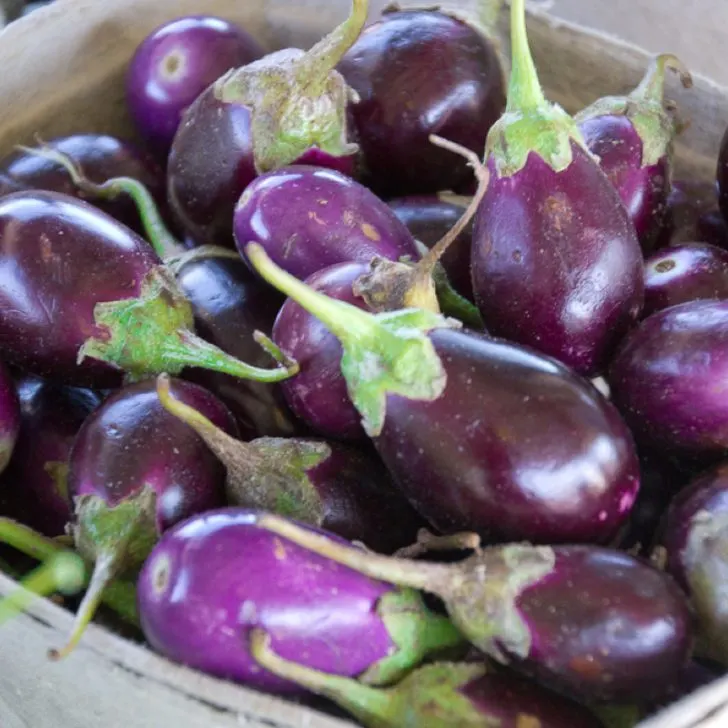 how to make your trip to farmer's market a success: baby eggplants